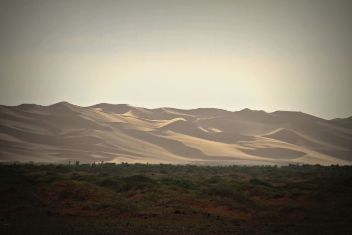 Mongolei Reise Wüste