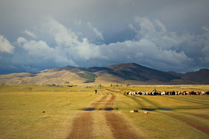 Mongolei Reise Straße